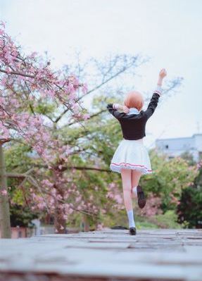 北京图鉴女子电视剧